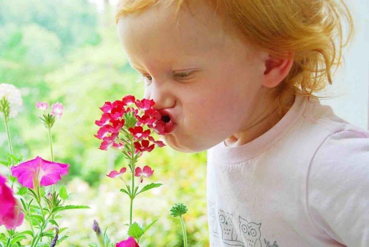 25 кухонных секретов, которые сделают пищу полезнее