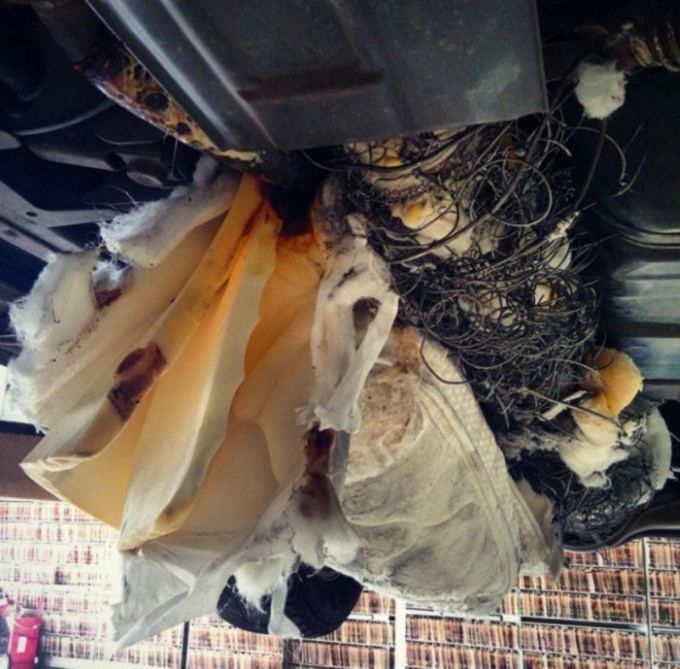 Белки в фильтре и самокат в картере: самые невероятные поломки авто