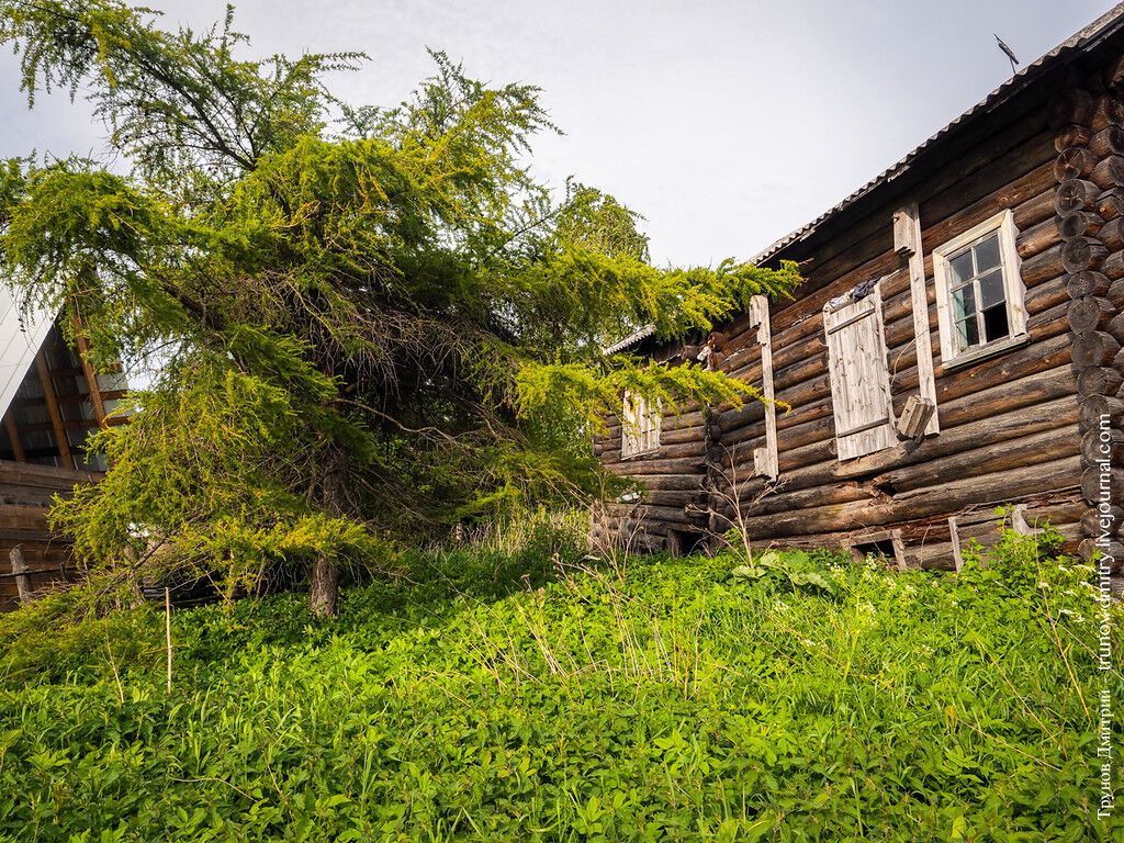 Пустота и разруха: как вымирает русская деревня
