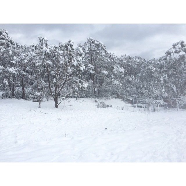Австралию засыпало снегом: самые веселые фото зимы