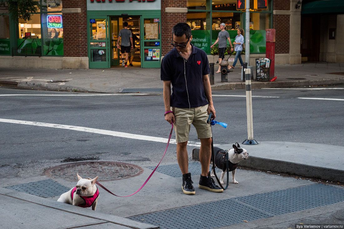 Контрасты улиц Нью-Йорка