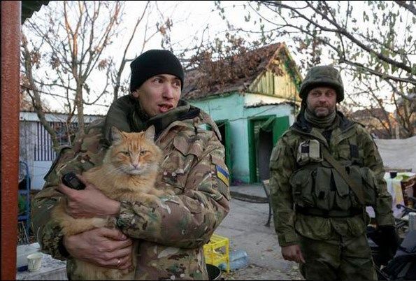 Животные в зоне АТО: проникновенный фоторепортаж