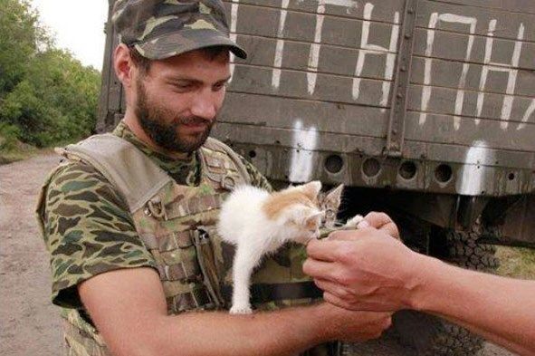 Животные в зоне АТО: проникновенный фоторепортаж