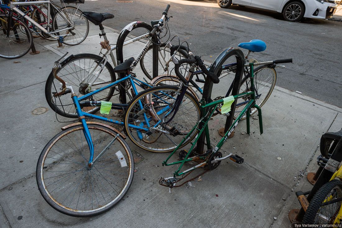 Самые необычные виды Нью-Йорка