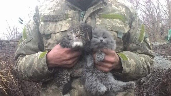 Тварини в зоні АТО: проникливий фоторепортаж