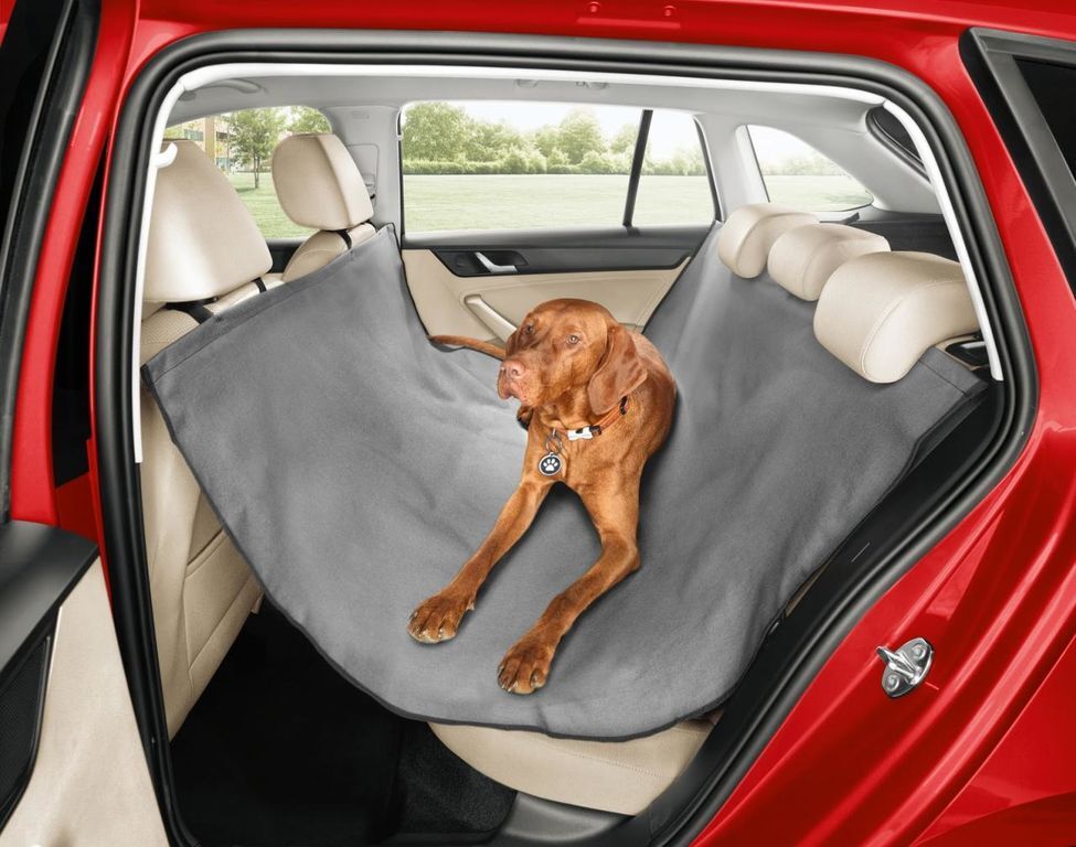 Собака на заднем сидении автомобиля может убить владельца