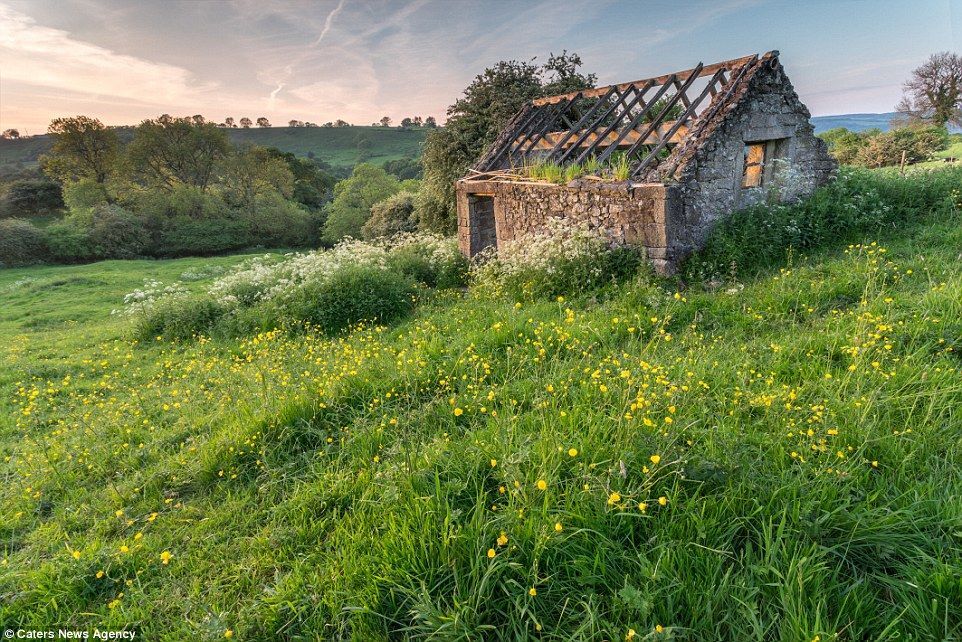 Захватывающая дух красота Британии: потрясающие снимки летних пейзажей