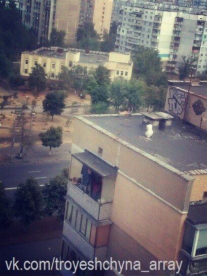 В Киеве полицейские сняли с крыши высотки двух девушек