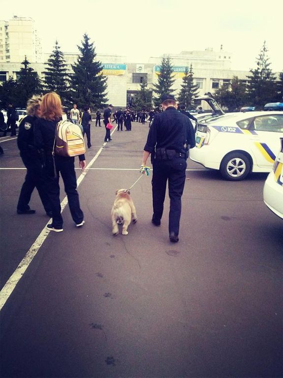 В Киеве полицейские приютили пса, который потерялся