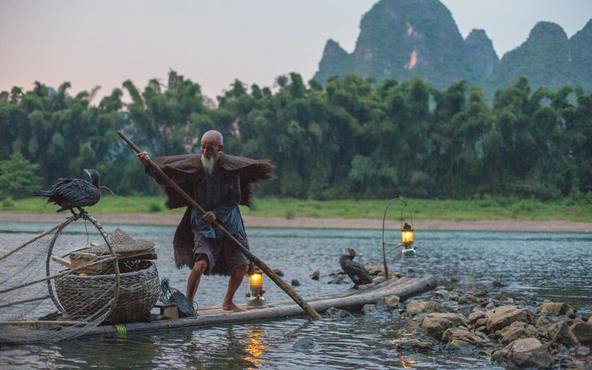 Уникальная рыбалка с бакланами в Китае: без сетей и удочек