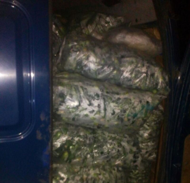 Пограничники не пустили к террористам десять тонн овощей