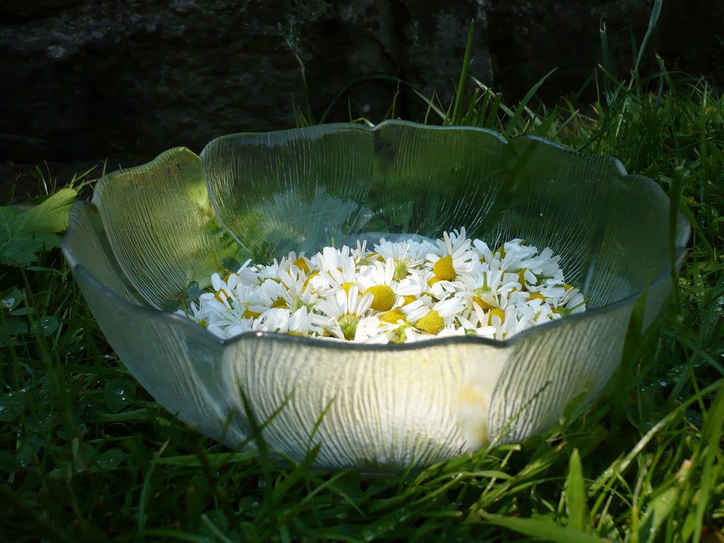 Как эффективно избавиться от пота: 10 натуральных средств