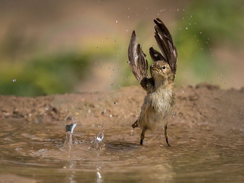 Удивительная планета: лучшие фото National Geographic за июль