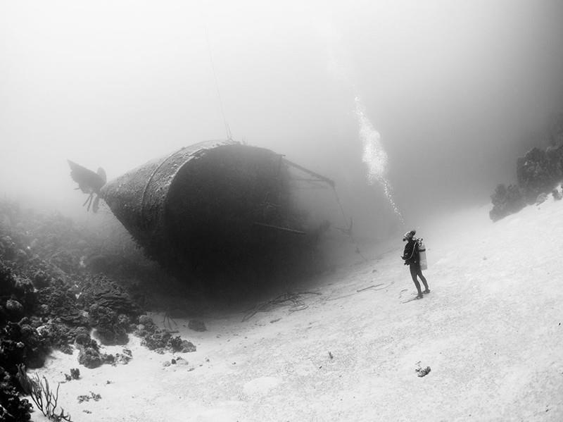 Удивительная планета: лучшие фото National Geographic за июль