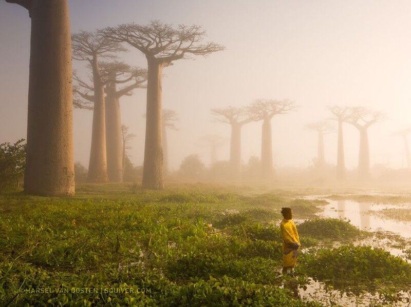 Удивительная планета: лучшие фото National Geographic за июль