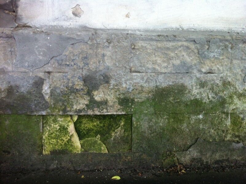 Ученые выяснили, что развитая цивилизация существует на Земле десятки тысяч лет