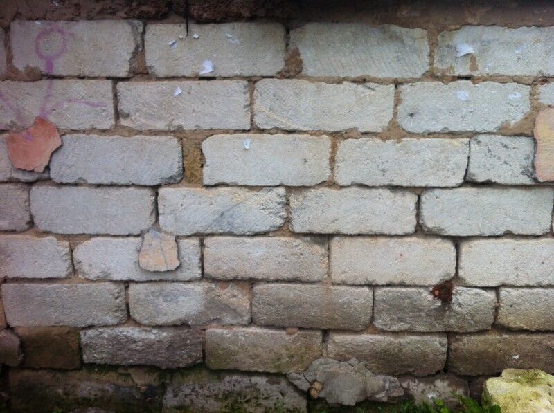 Ученые выяснили, что развитая цивилизация существует на Земле десятки тысяч лет