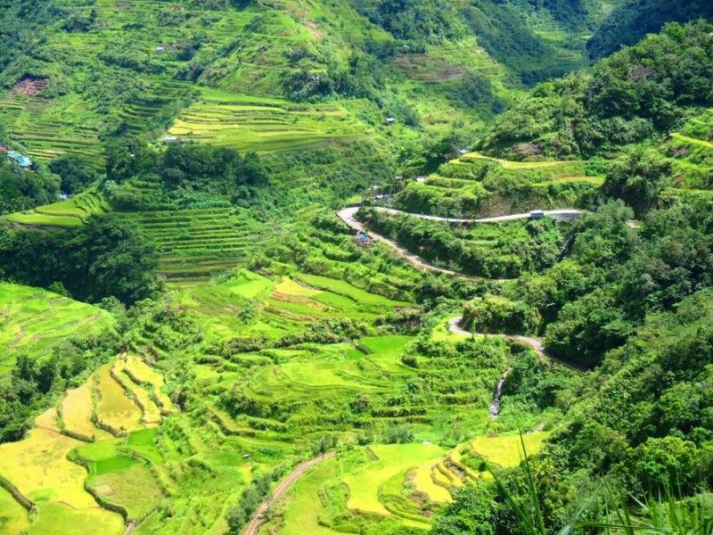 Ученые выяснили, что развитая цивилизация существует на Земле десятки тысяч лет