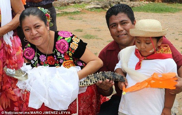 В Мексике мэр города взял замуж крокодила. Фото- и видеофакт