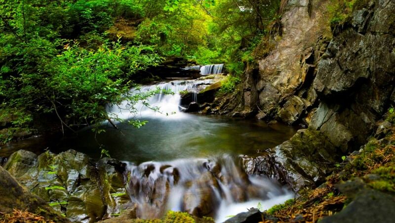 Українські фотографи показали розкіш літа в Карпатах: приголомшливі знімки