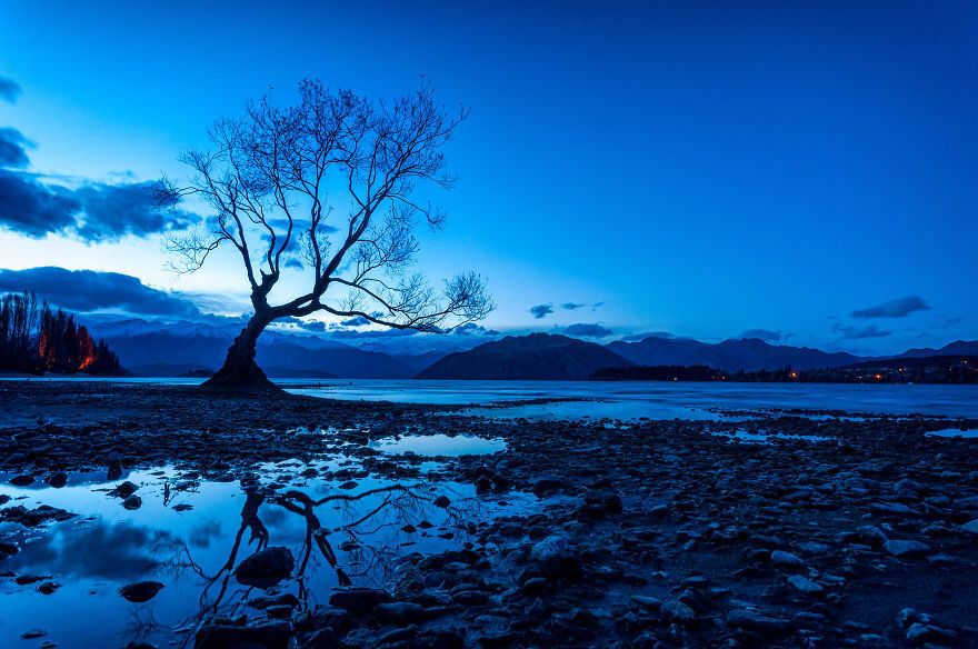 Невероятные красоты Новой Зеландии: место ожившей сказки