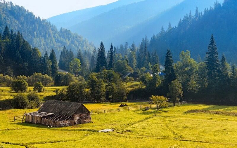 Украинские фотографы показали роскошь лета в Карпатах: потрясающие снимки