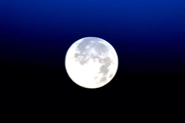 Над Землей взошла "голубая луна": опубликованы первые фото