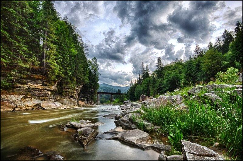 Украинские фотографы показали роскошь лета в Карпатах: потрясающие снимки