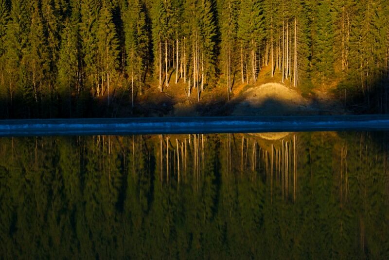 Українські фотографи показали розкіш літа в Карпатах: приголомшливі знімки