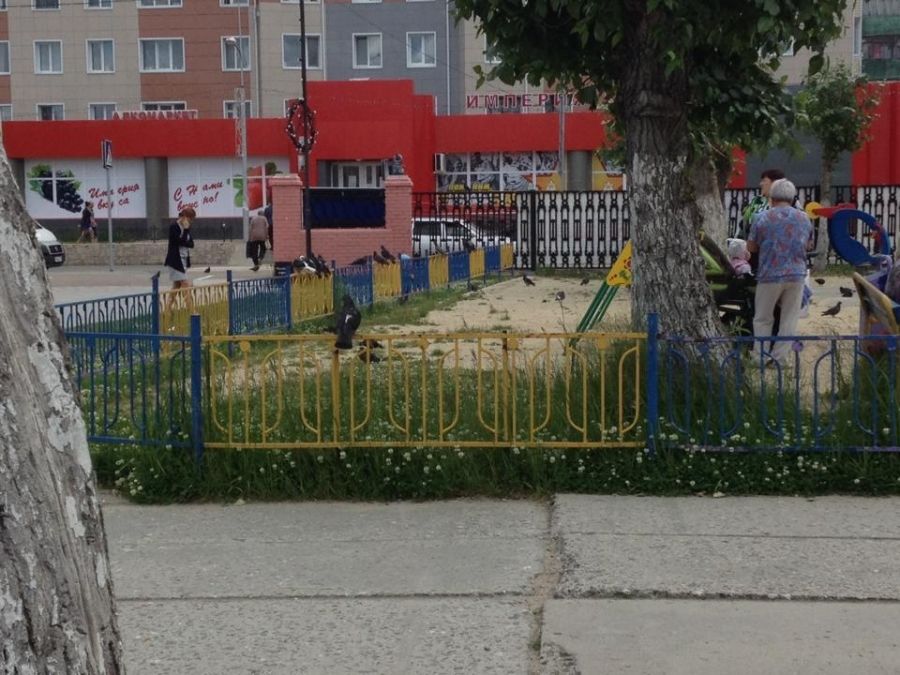 Россиян разозлил сине-желтый забор вокруг детской площадки: документ