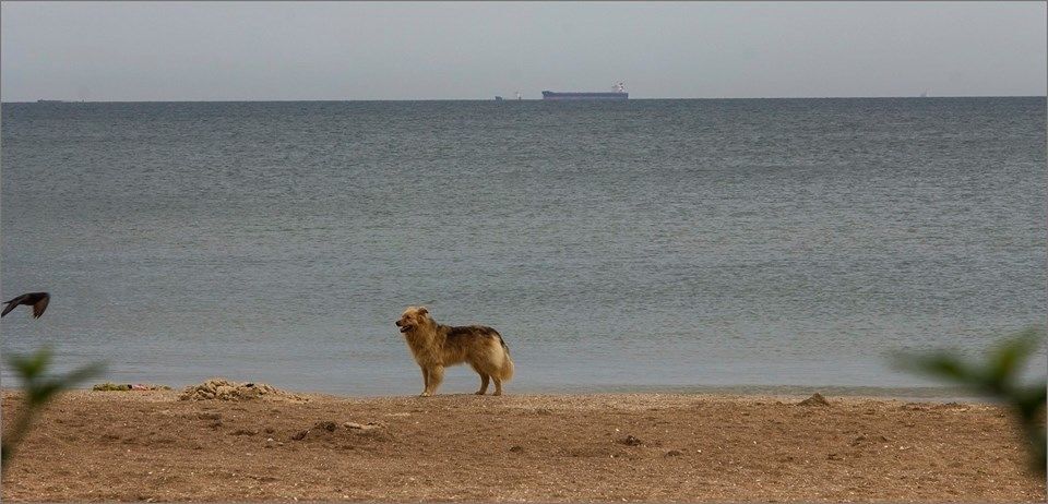 Это небо хотело упасть на Одессу: собраны невероятные фото грозы над морем