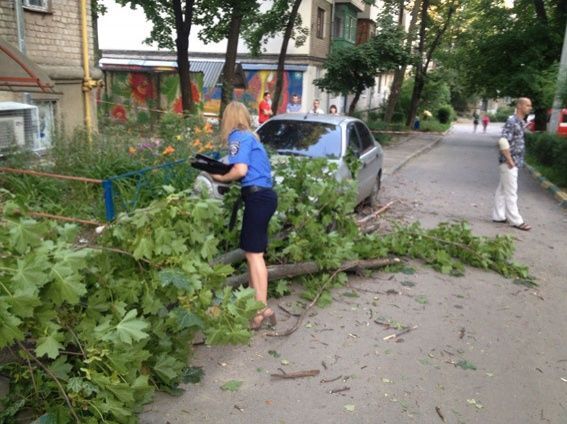 В Харькове на женщину с младенцем рухнуло дерево: опубликованы фото
