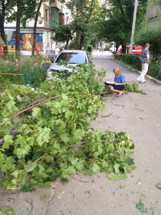В Харькове на женщину с младенцем рухнуло дерево: опубликованы фото