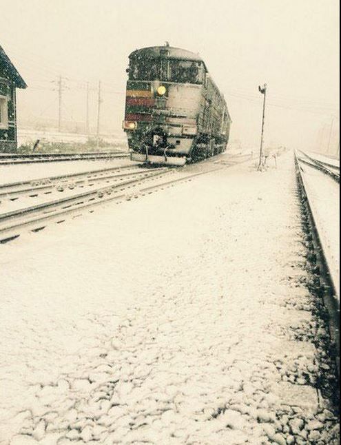 Вот такое чудное лето. Россию в июле завалило снегом: невероятные фото и видео 