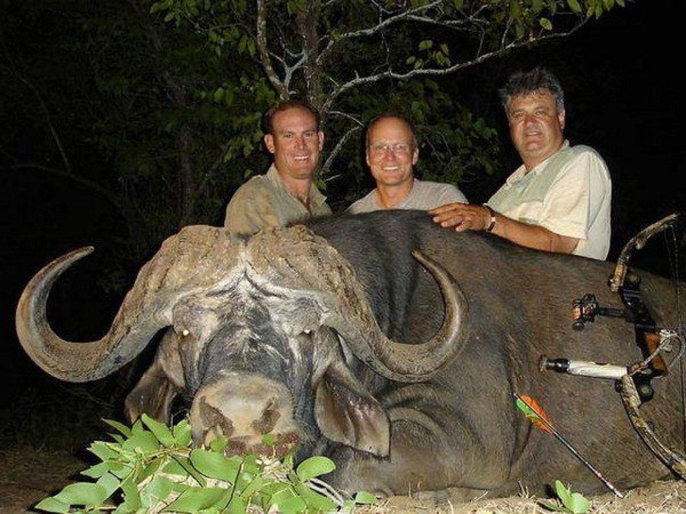 Человек, которого ненавидит мир: опубликованы фото животных, убитых дантистом из США