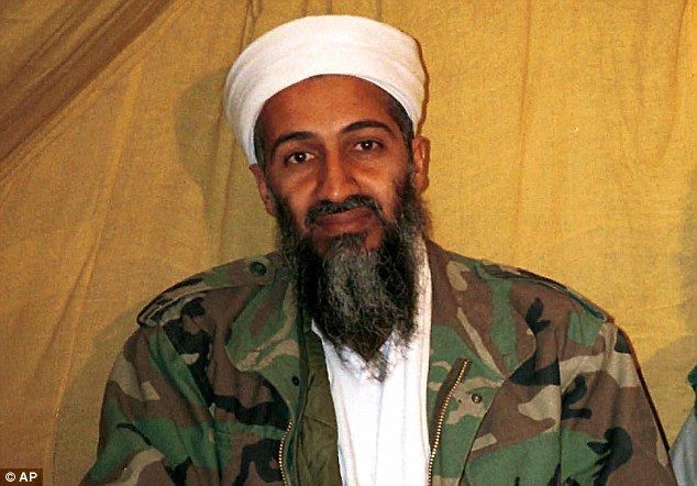 СМИ показали фото и видео гибели самолета с семьей бен Ладена