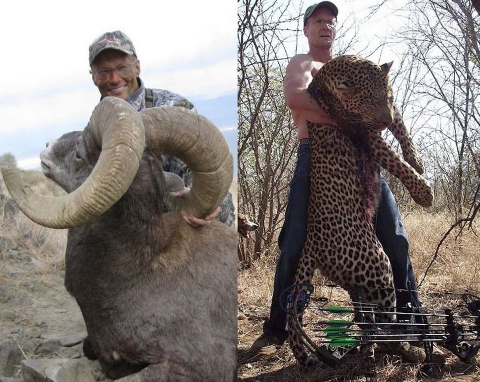 Человек, которого ненавидит мир: опубликованы фото животных, убитых дантистом из США
