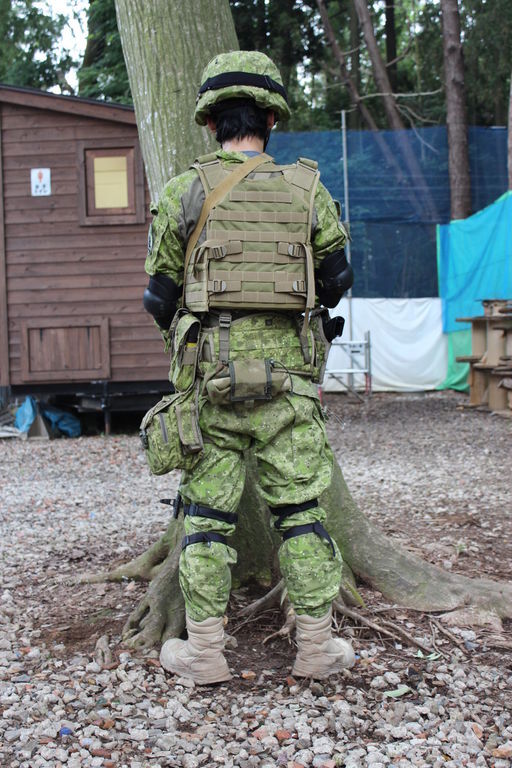 В Японії з'явився культ української армії: фотофакт