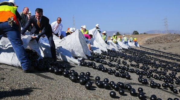 В США придумали, как спасти воду миллионами пластиковых шаров