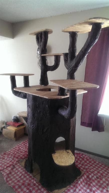 Мужчина построил потрясающий дом-дерево для своего любимого кота