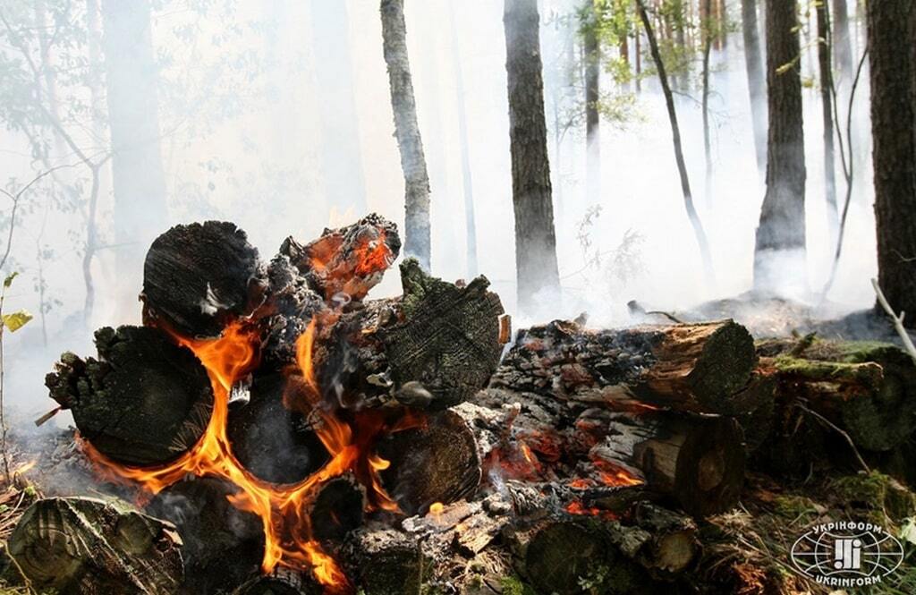 Спасатели сражаются с огнем в "Чернобыльской пуще": опубликованы фото