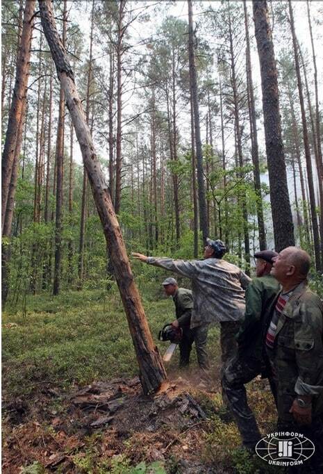 Рятувальники борються з вогнем у "Чорнобильській пущі": опубліковано фото