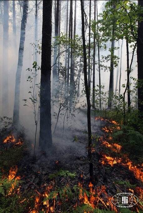 Рятувальники борються з вогнем у "Чорнобильській пущі": опубліковано фото