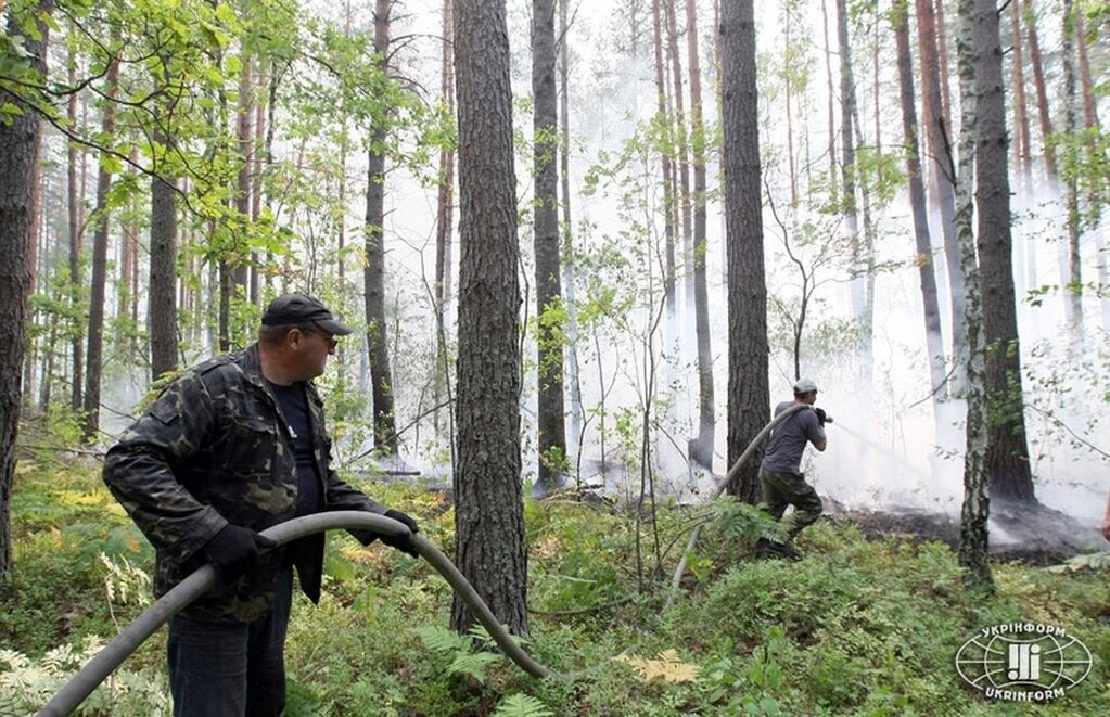 Спасатели сражаются с огнем в "Чернобыльской пуще": опубликованы фото