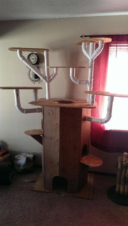 Мужчина построил потрясающий дом-дерево для своего любимого кота