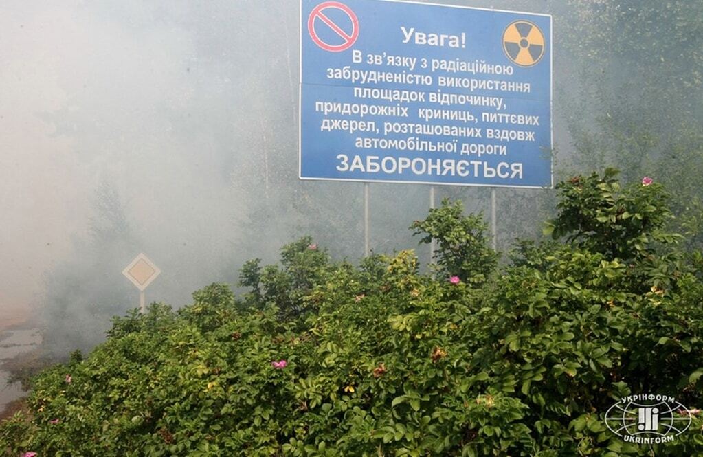 Спасатели сражаются с огнем в "Чернобыльской пуще": опубликованы фото