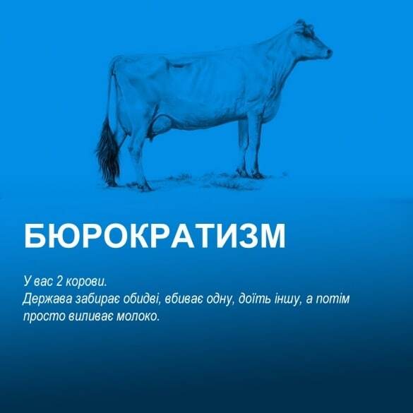 У вас есть две коровы…: новозеландский журналист нашел простое объяснение мировой экономики