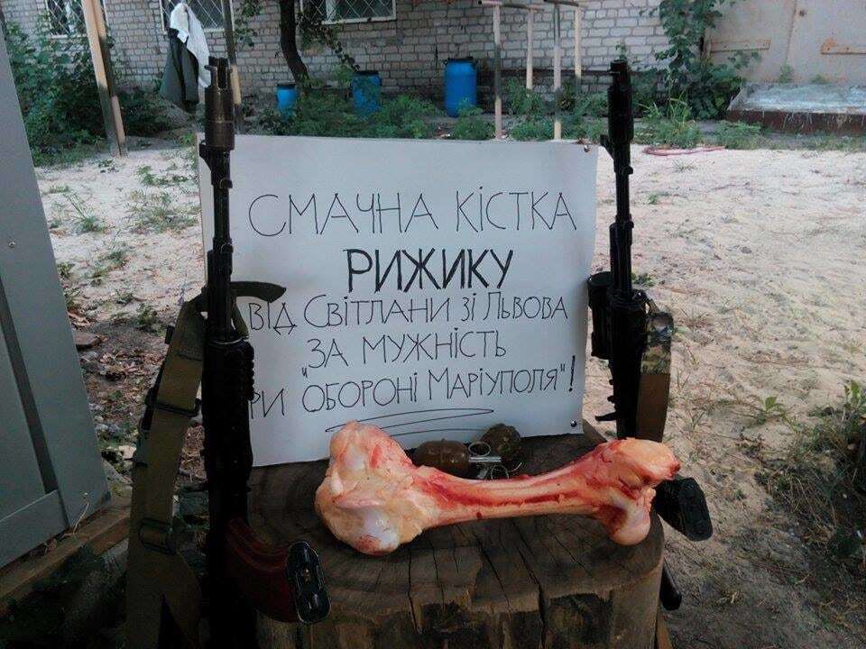 Маріуполь охороняє пожежний пес "Рижик": опубліковано фото