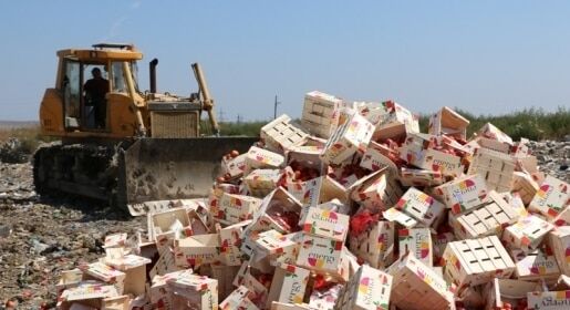 В Керчи бульдозером переехали 4 тонны нектарина: опубликованы фото
