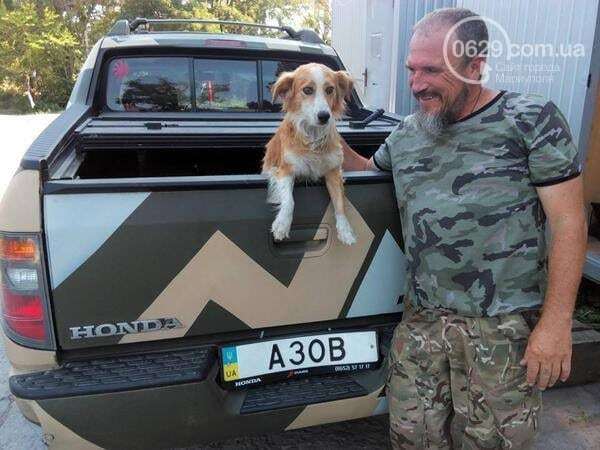 Маріуполь охороняє пожежний пес "Рижик": опубліковано фото